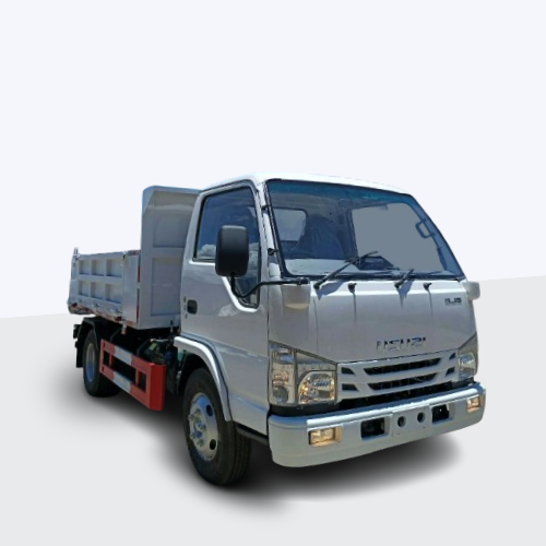 ISUZU ELF STANDARD DUMP TRUCK
